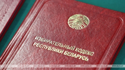Карпенко: мы делаем все возможное для защиты избирательного процесса от внешнего вмешательства