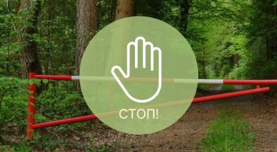 В Хотимском районе действуют ограничения на посещение лесов