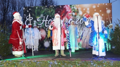 В Хотимске зажгли главную елку района (фото)