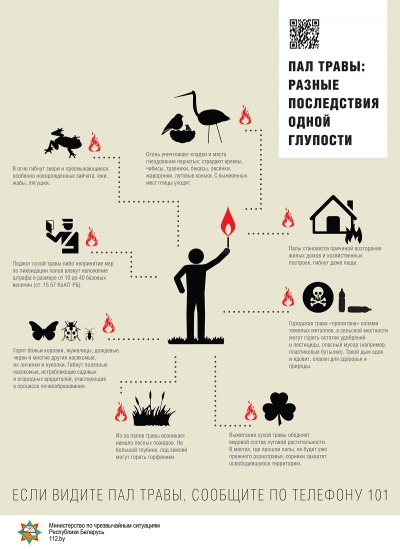 Весенний пал травы — это преступление против природы