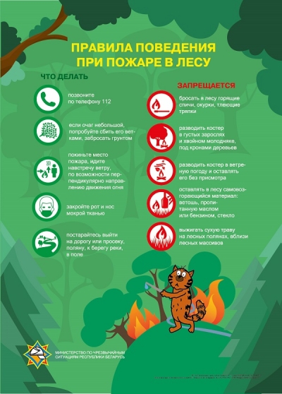 Берегите лес от пожара!